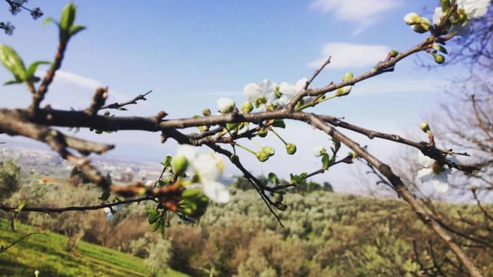 Bauernhof Agriturismo Podere Rondinaio Lamporecchio