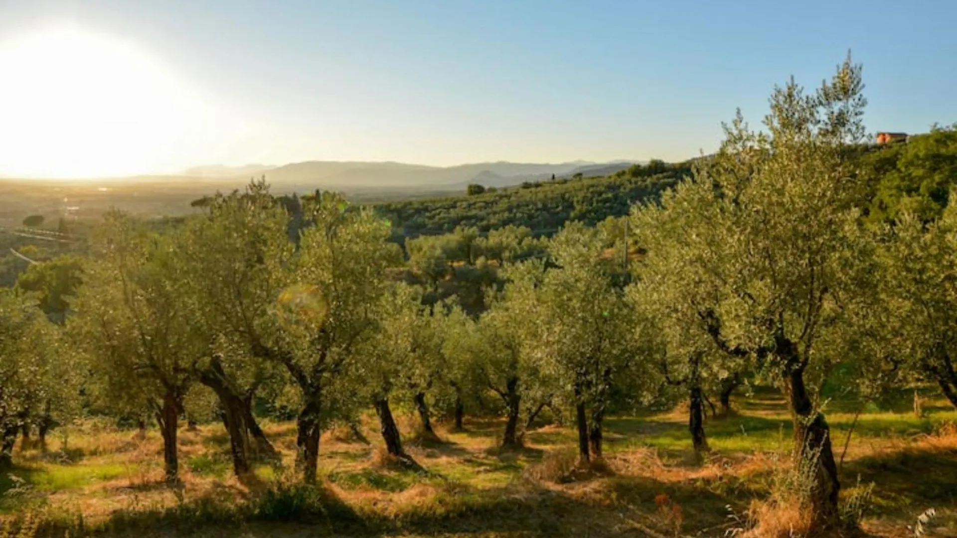 Agriturismo Podere Rondinaio Lamporecchio Bauernhof