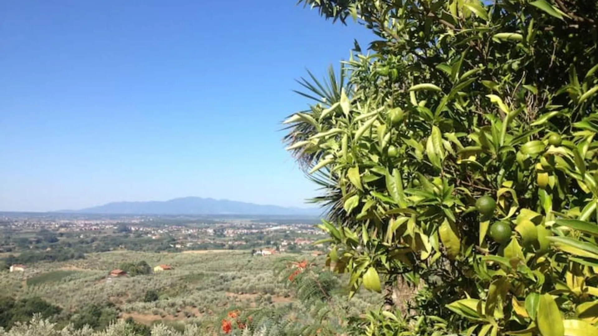 Agriturismo Podere Rondinaio Lamporecchio Bauernhof